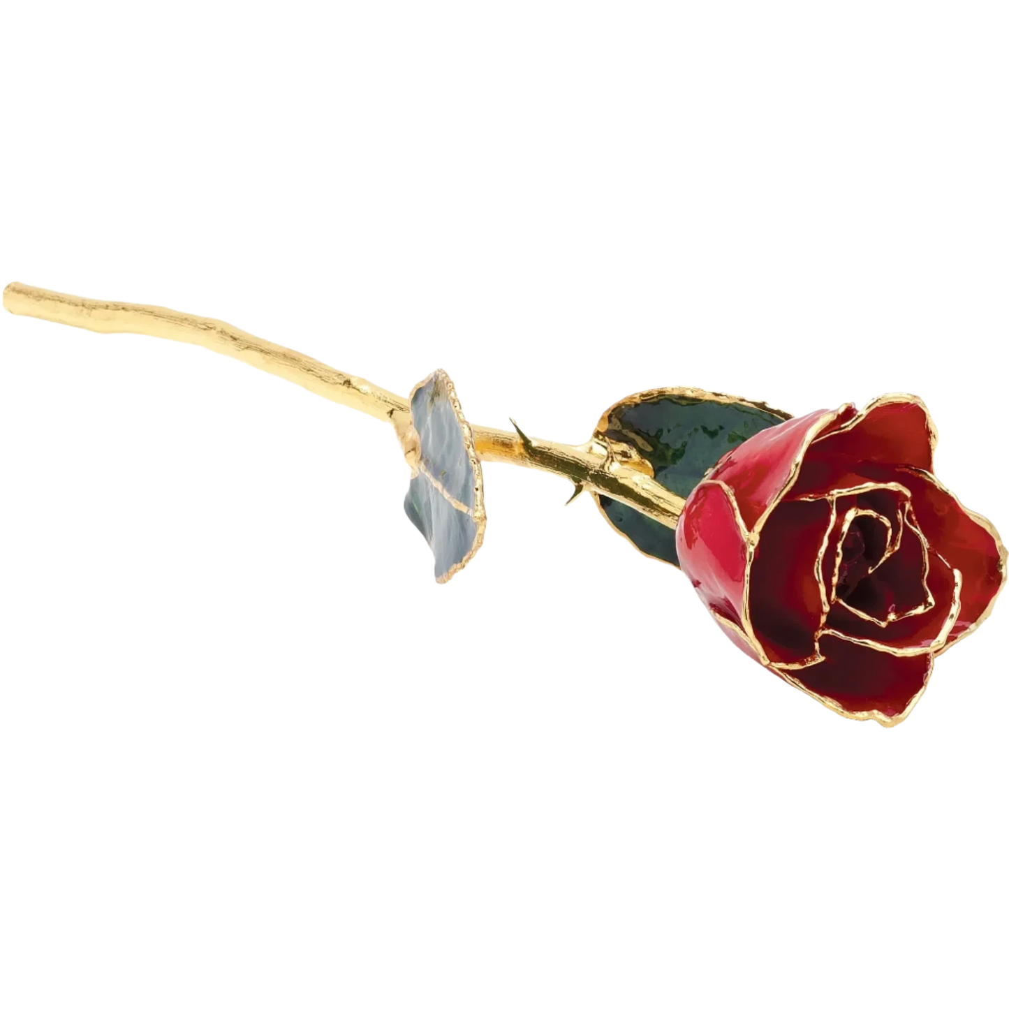 Red 24K Rose