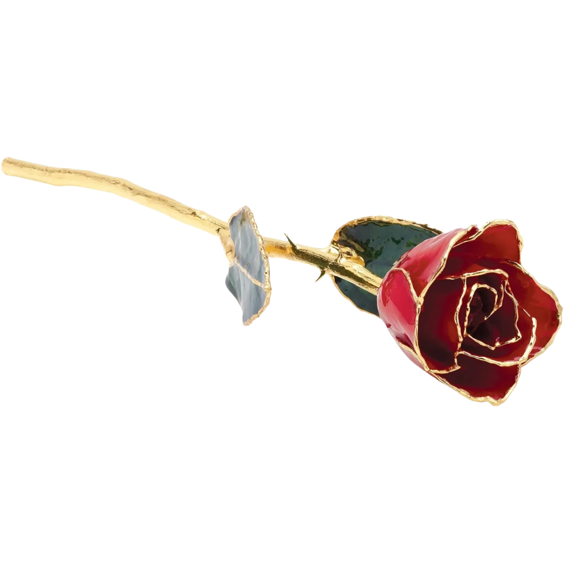 Red 24K Rose